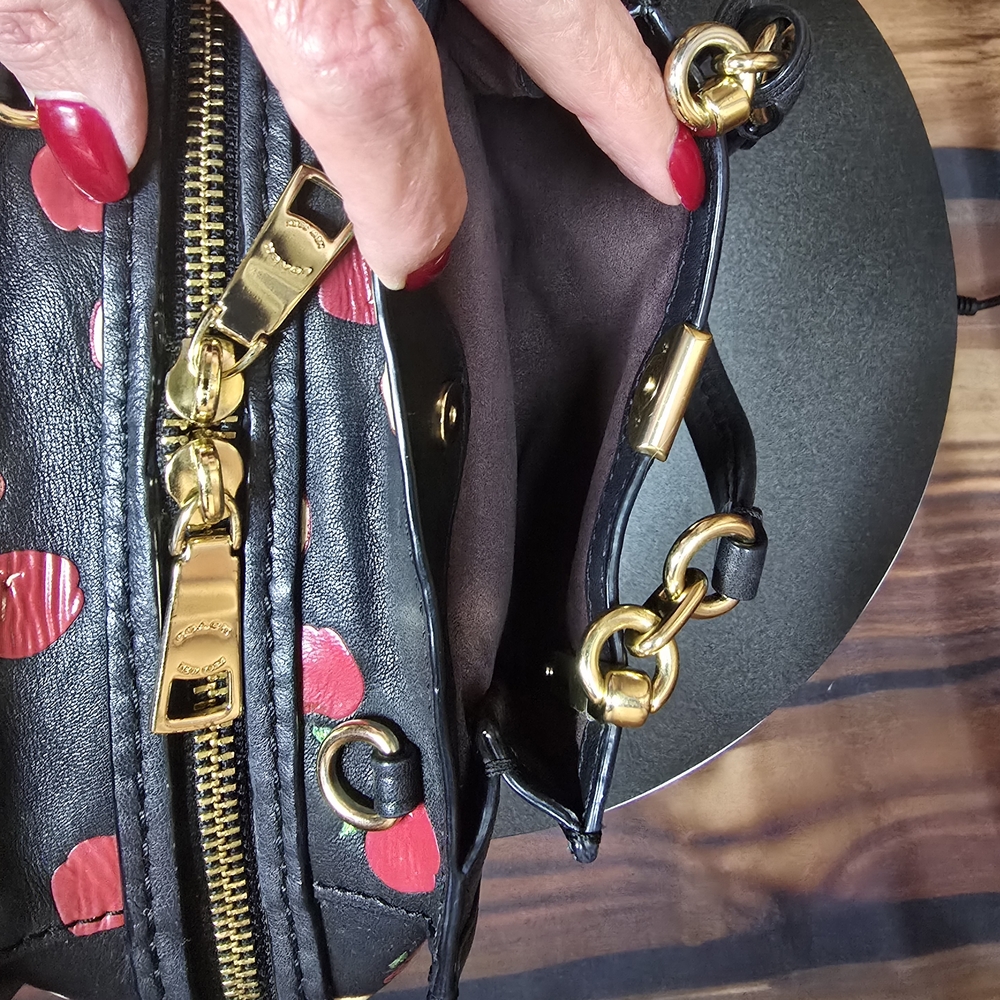 Coach Dreamer 21 Scattered Apple Crossbody Bag -RARE - EUC - Picture 12 of 16